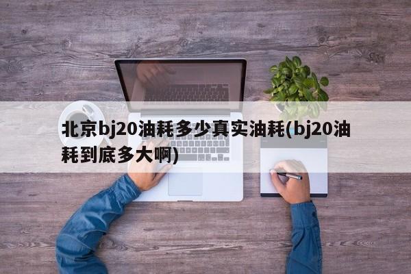 北京bj20油耗多少真实油耗(bj20油耗到底多大啊)