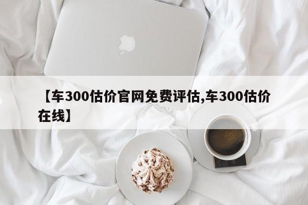 【车300估价官网免费评估,车300估价在线】
